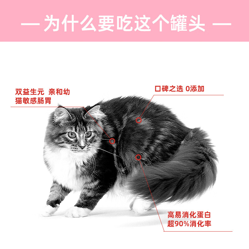 Royal kitten food, kitten mousse milk cake, canned milk cake during the weaning period, imported cat snacks, canned wet food, new customers trying it out, canned milk cake during the weaning period from January to April 85g*6