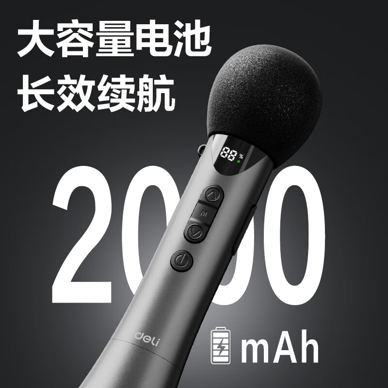 Deli 15w high power karaoke microphone audio integrated handheld microphone wireless little bee amplifier speaker teaching tour guide speech microphone teacher birthday gift black