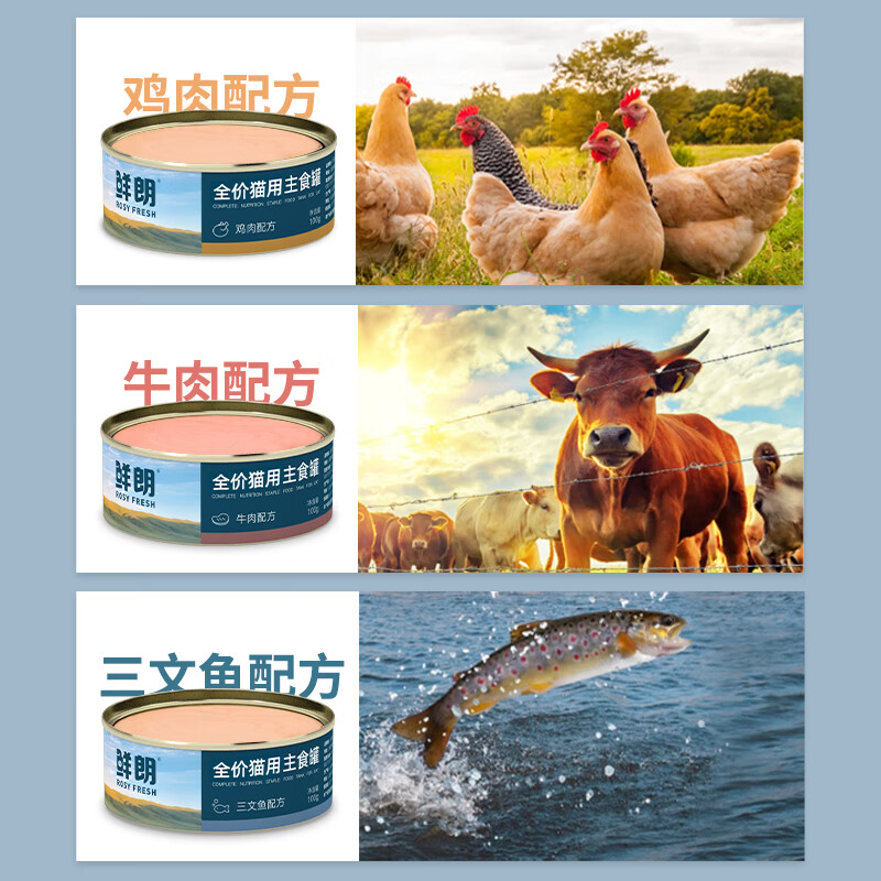 鲜朗主食罐猫咪营养幼猫成猫主粮全价湿粮猫罐头100g*6罐