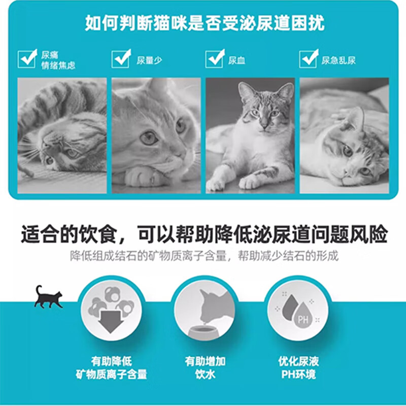 Royal imported canned cat food, general urinary tract care for adult cats, wet food, canned food, cat snacks >12 months, new customer trial, multi-faceted care for 1 year old and above, 85g