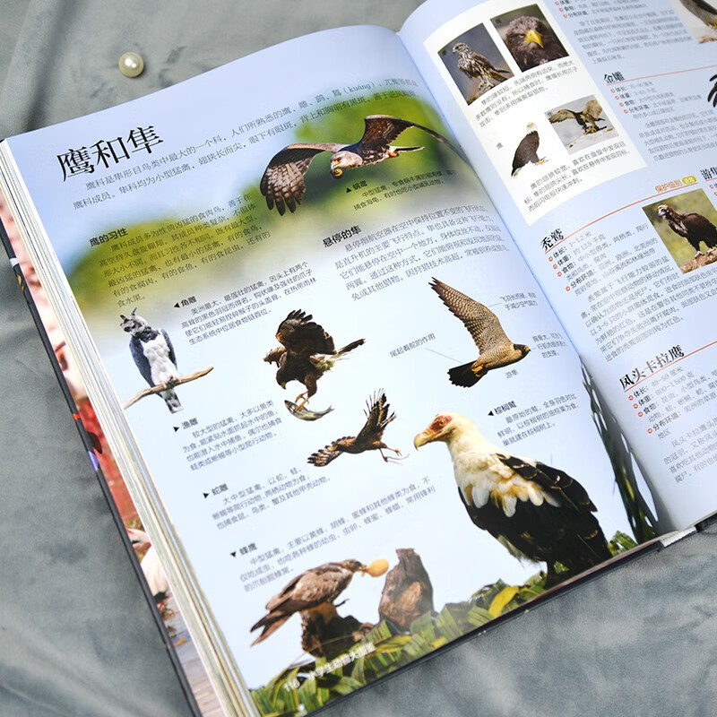 Animal Encyclopedia for Primary School Students, children's popular science encyclopedia, high-definition full-color pictures, collection-level science popularization suitable for extracurricular reading and holiday reading for primary school students aged 6 to 12 years old