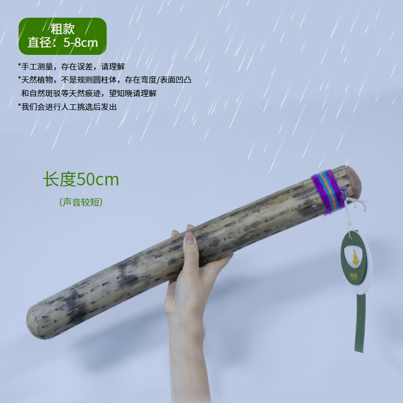 Fanmu Guo & De Rui Healing Rain Stick South America Chile De Rui Cactus Rain Maker Rain Sound Tube Ethnic Minor Instruments Fan Mu Guo Selected Thick Style D=5-8cm (Recommended) L=75cm