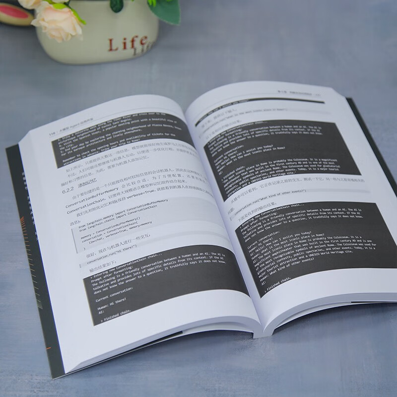 Large model Agent application development