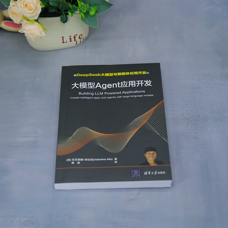 Large model Agent application development