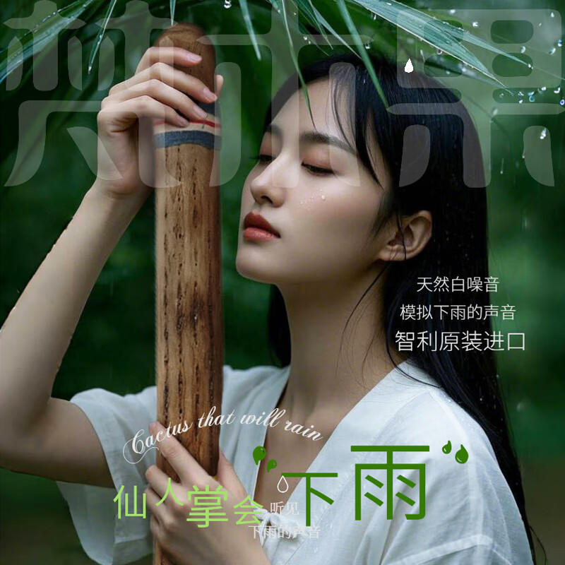 Fanmu Guo & De Rui Healing Rain Stick South America Chile De Rui Cactus Rain Maker Rain Sound Tube Ethnic Minor Instruments Fan Mu Guo Selected Thick Style D=5-8cm (Recommended) L=75cm