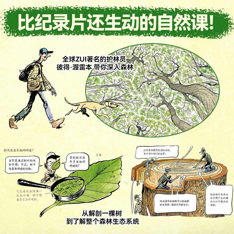 The Secret Life of Trees (The book comes with observation notes, taking you into the magical world of tree language! This book uses childlike language and exquisite illustrations to reveal the mysteries of trees for children and cultivate their love for nature and their spirit of exploration) A must-read popular science book for children