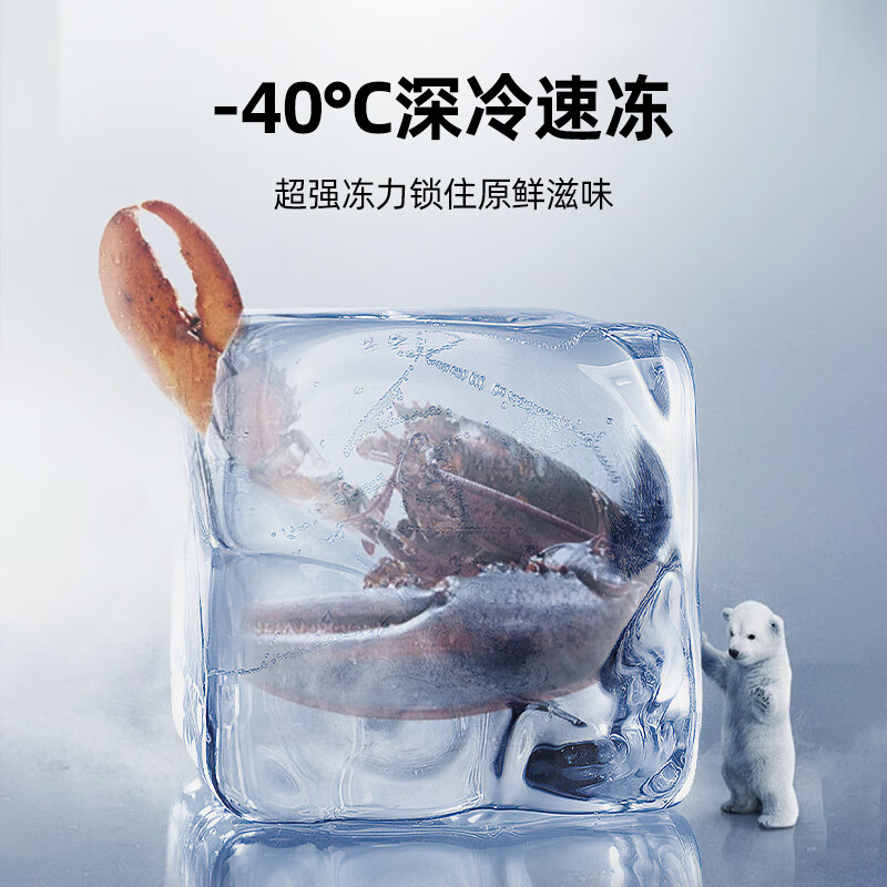 Xingx (XINGX) 601L commercial freezer large capacity refrigerator refrigeration and freezing conversion cabinet single temperature large capacity horizontal frost reduction energy saving freezer BD/BC-628GE trade-in