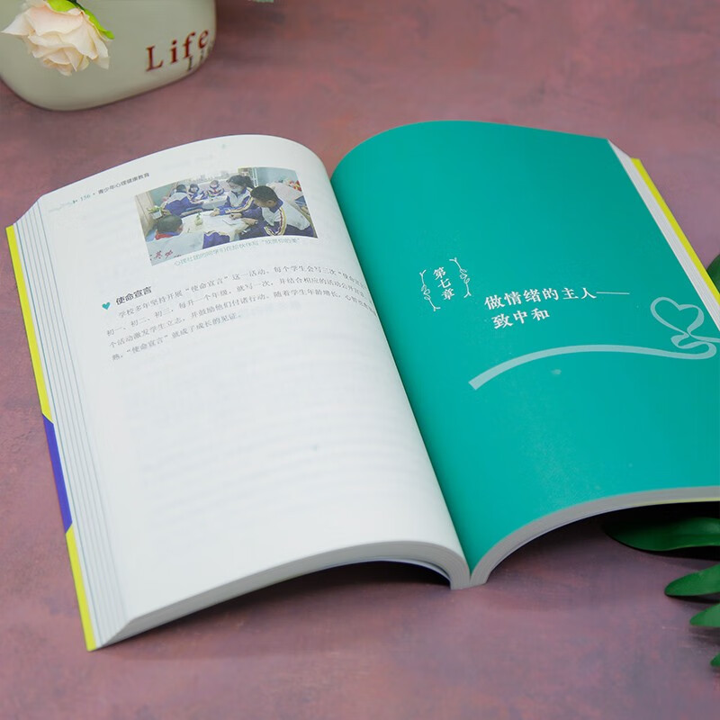 Youth mental health education