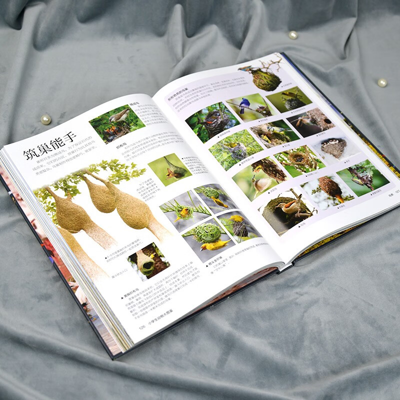 Animal Encyclopedia for Primary School Students, children's popular science encyclopedia, high-definition full-color pictures, collection-level science popularization suitable for extracurricular reading and holiday reading for primary school students aged 6 to 12 years old