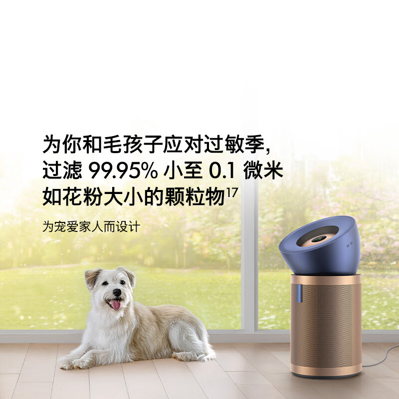 Dyson BP04 air purifier purifies large areas of odor, allergens, removes formaldehyde, filters out pollen and pet hair, medical grade, pet care certification, blue and gold