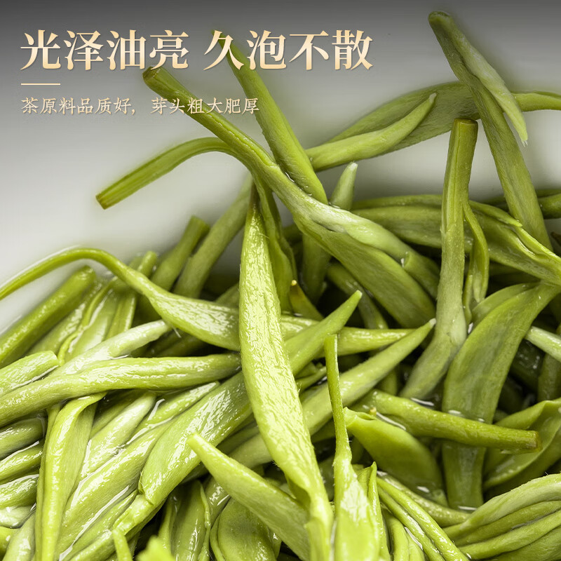 Tianzhouxi Green Tea Xinyang Maojian 250g2025 new tea sprouts spring tea tea gift box for leaders, elders and elderly people