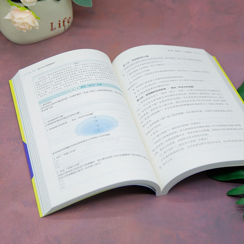 Youth mental health education