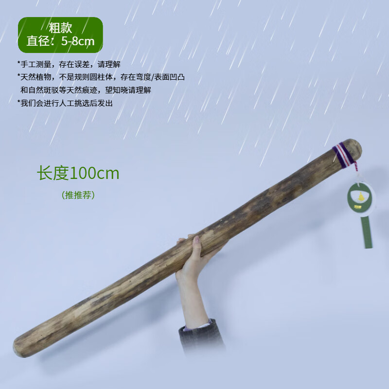 Fanmu Guo & De Rui Healing Rain Stick South America Chile De Rui Cactus Rain Maker Rain Sound Tube Ethnic Minor Instruments Fan Mu Guo Selected Thick Style D=5-8cm (Recommended) L=75cm