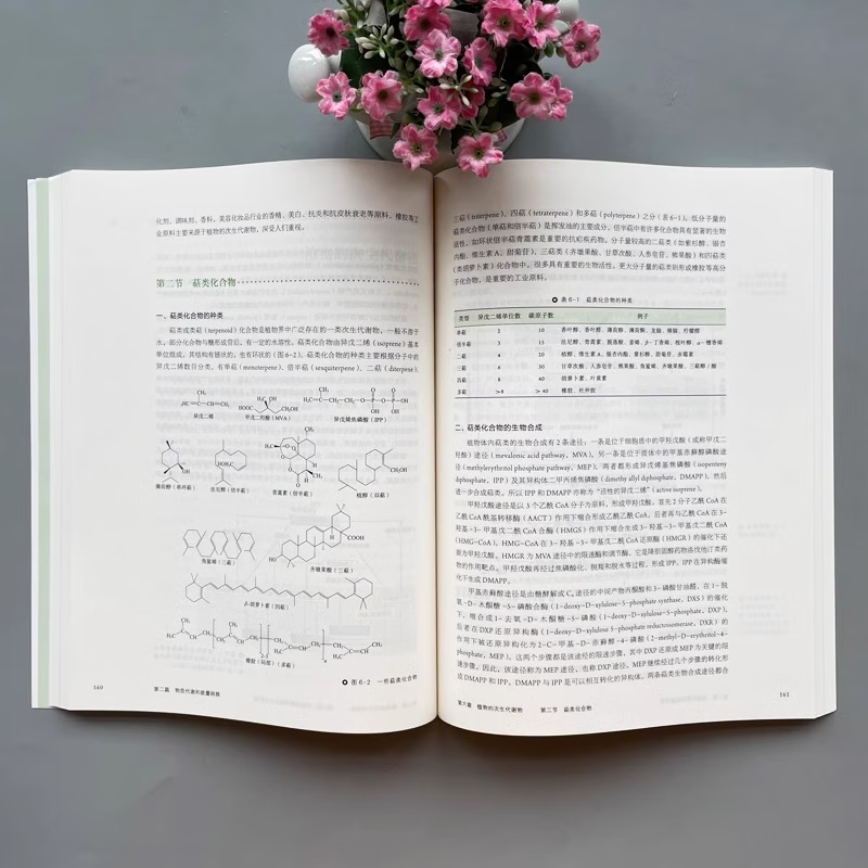 Official free shipping Plant Physiology Wang Xiaojing 8th Edition 8th Edition Pan Ruichi Higher Education Press Normal College Comprehensive University and Agriculture and Forestry College Textbooks Botany Biology Tutorial Postgraduate Entrance Examination Books