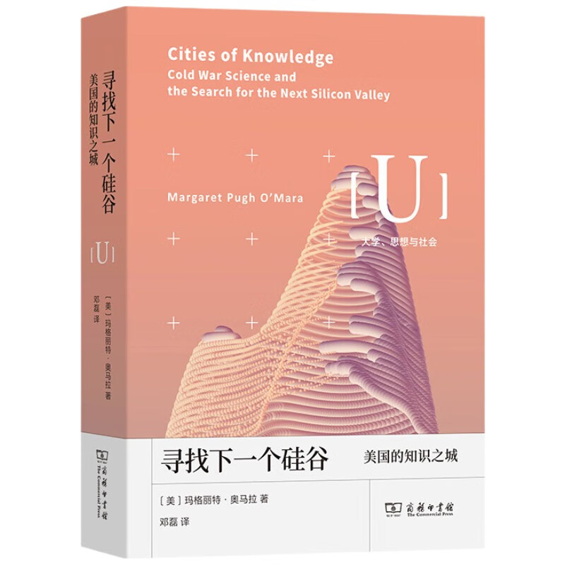 Looking for the next Silicon Valley, America’s Knowledge City