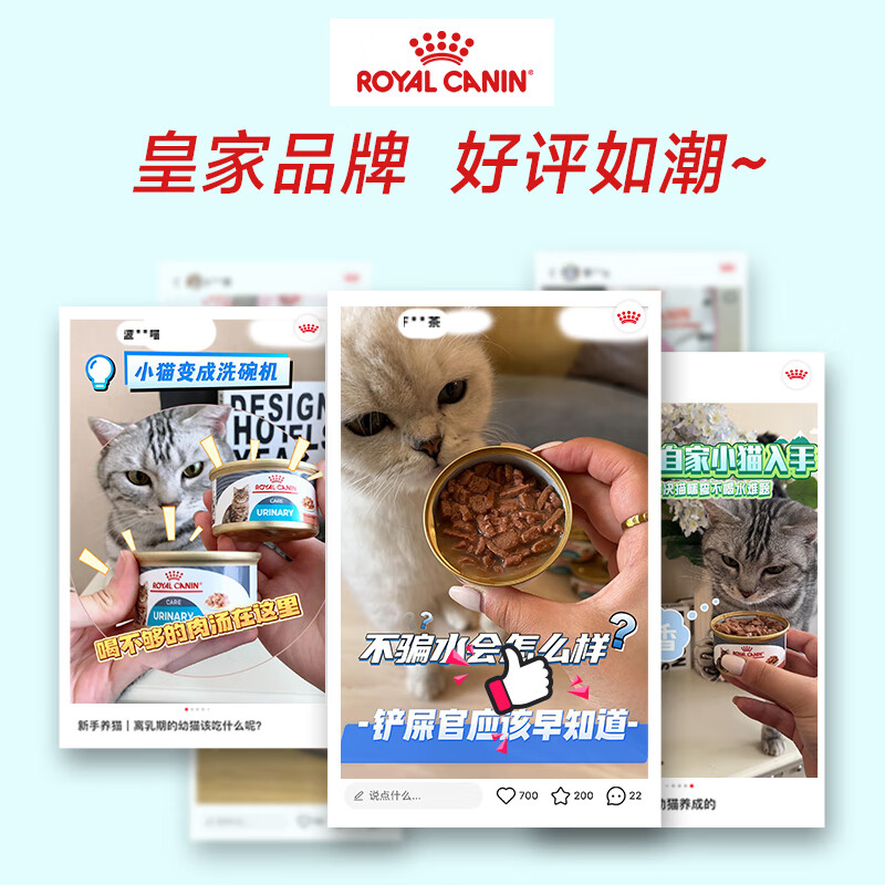 Royal imported canned cat food, general urinary tract care for adult cats, wet food, canned food, cat snacks >12 months, new customer trial, multi-faceted care for 1 year old and above, 85g