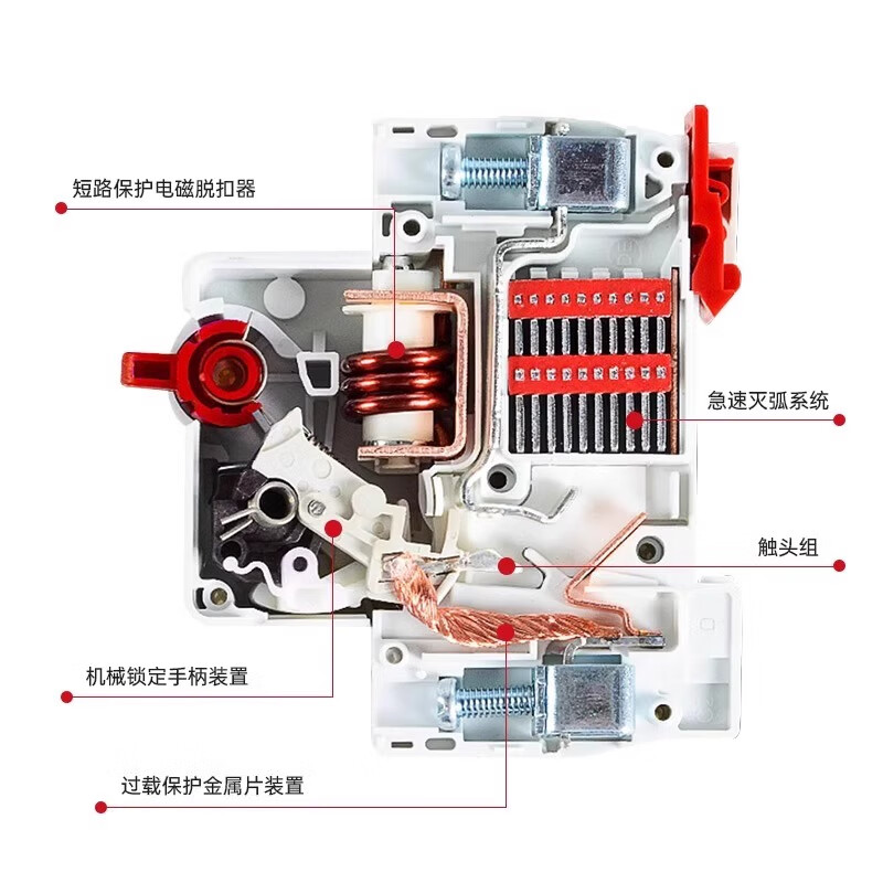 Delixi high current D-type air switch with leakage protection 80A/100A/125A high power circuit breaker for industrial use high current leakage protector 100A 2P
