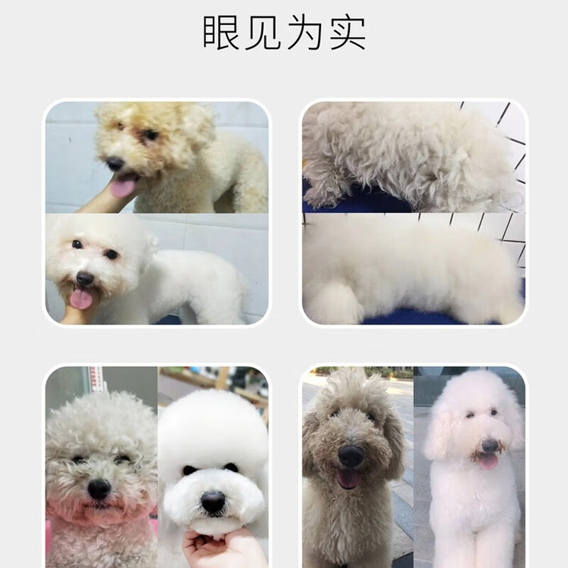 Musentang Macadamia Nut Restoration Shampoo 100ml Milk Fragrance Reduce Hair Loss Dog Shampoo and Shower Gel