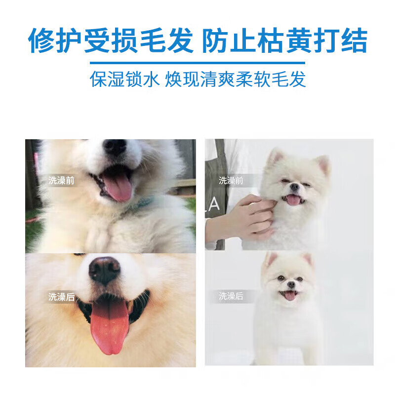 REICHOLD dog shower gel, hair conditioner, antibacterial, beautifying, hair removal, mite removal, deodorizing and deodorizing bath gel set, Bichon Teddy Pet