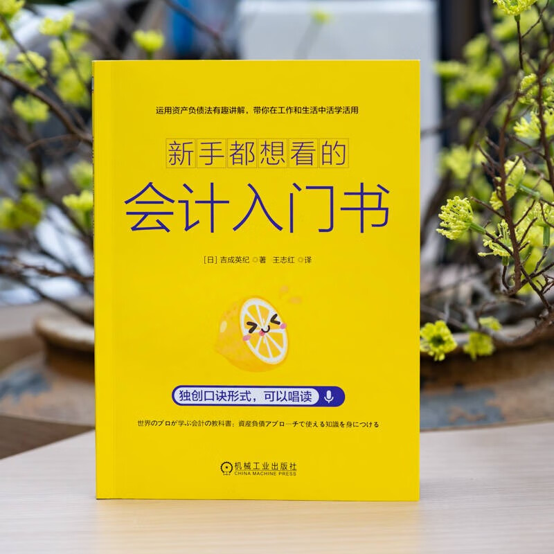 An introductory book on accounting that all novices want to read