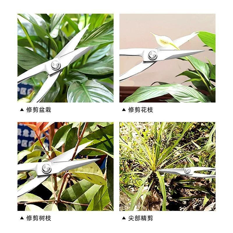 Baichao all stainless steel gardening shears, leaf bud shears, bud scissors, flower arrangement, bonsai branch and leaf shears, pruning twig shears, thickened long pole, main picture