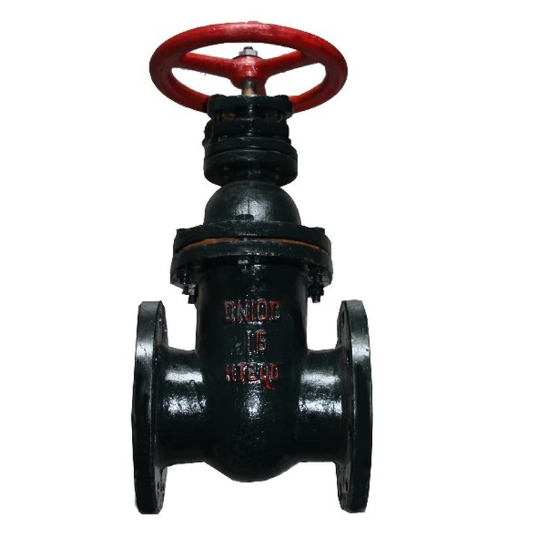 DN100 gate valve