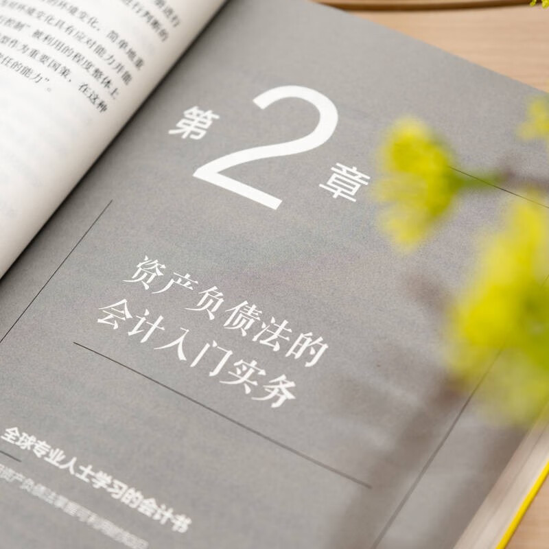 An introductory book on accounting that all novices want to read