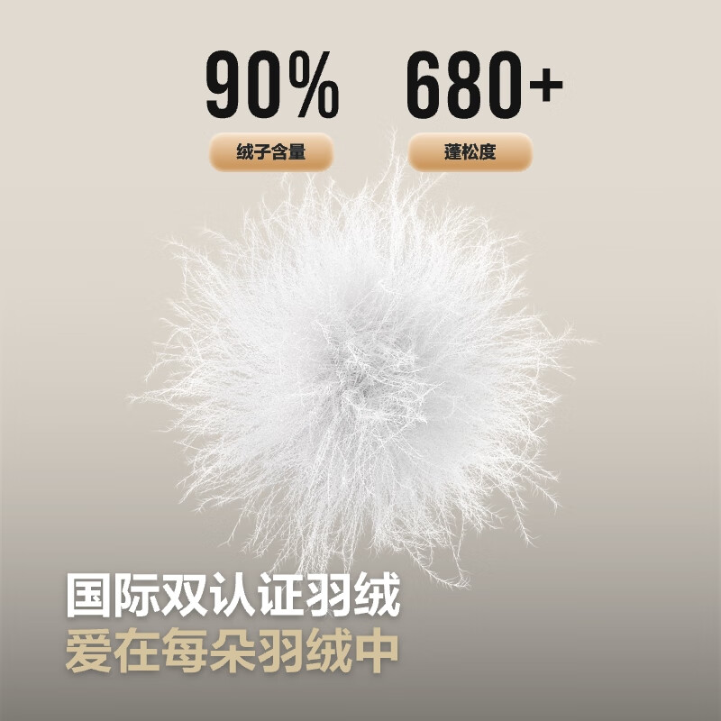 Bosideng Autumn Down Jacket Men's Casual Thin Stand Collar Liner Gift Jacket Best Selling in the Mall Same Style B250131005