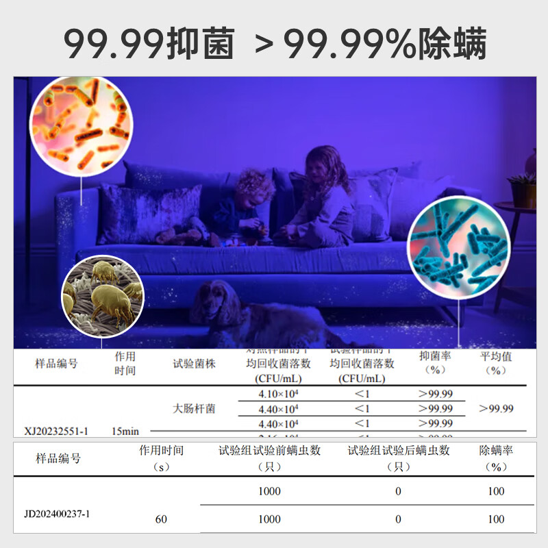 Hoover Hoover carpet and fabric professional cleaning machine home commercial hotel billiard room cleaning and suction integrated 4 bottles of cleaning fluid + host