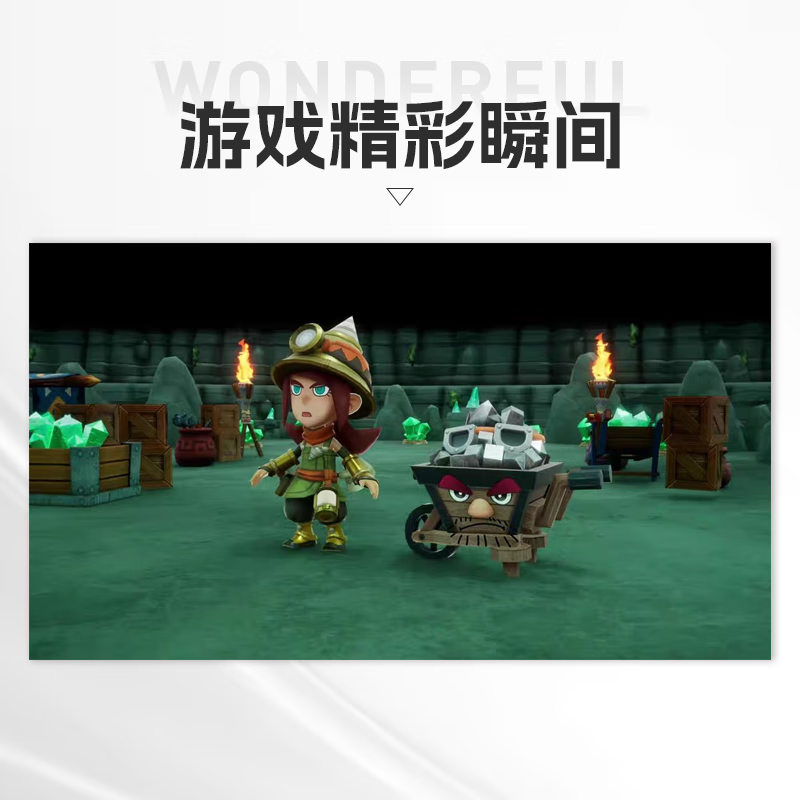 Nintendo (Nintendo) Fantasy Life i The Circle of Dragons and the Girl Who Stole Time Switch2 Game Card Japanese Version Chinese