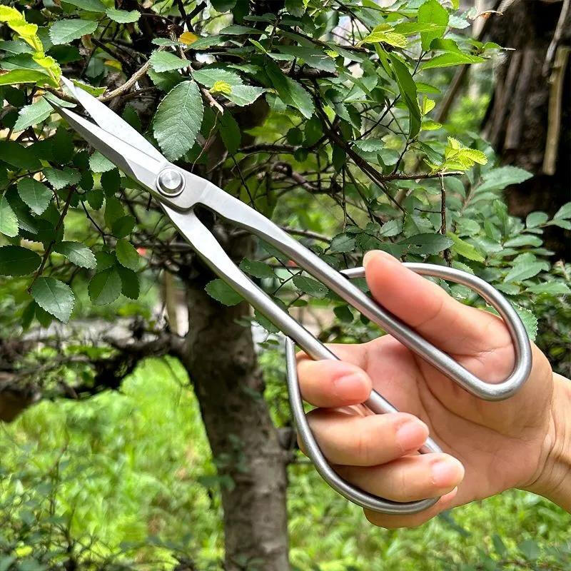 Baichao all stainless steel gardening shears, leaf bud shears, bud scissors, flower arrangement, bonsai branch and leaf shears, pruning twig shears, thickened long pole, main picture