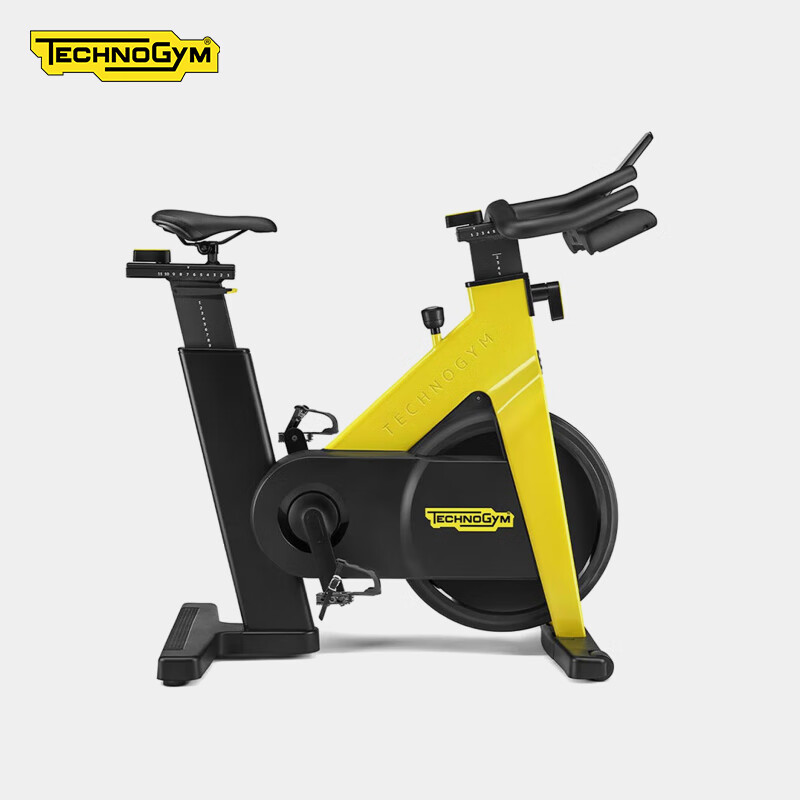 Technogym Italian original imported spinning GROUP CYCLE high-end home gym bike without console
