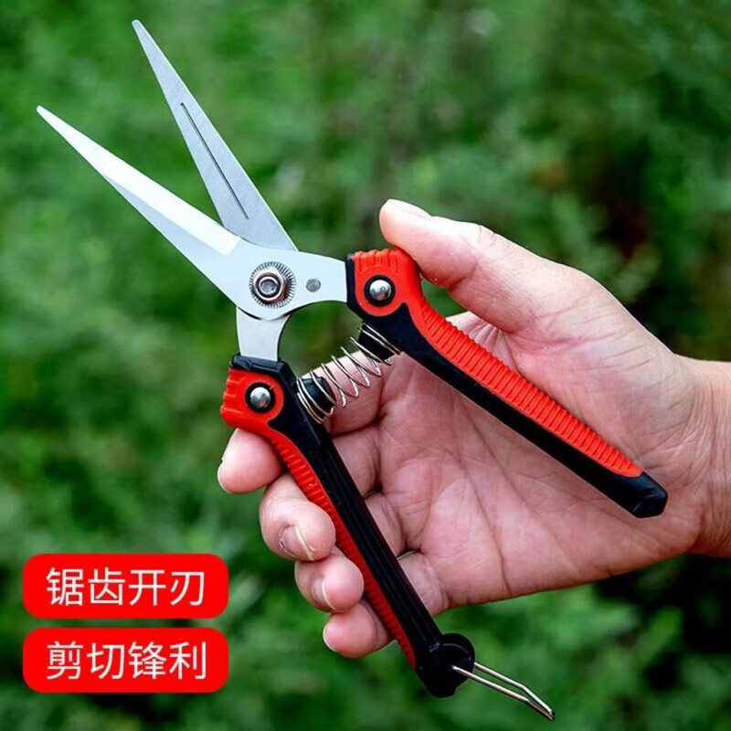 Fengxi powerful and labor-saving fruit-picking scissors, stainless steel serrated gardening pruning shears, fruit and vegetable gardening tools (1 set included)