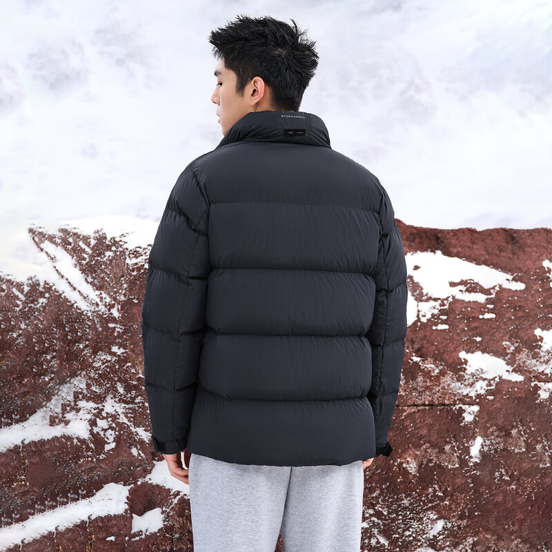 HLA Heilan House goose down jacket men Zeng Shunxi same style filled with down 134-164g stand collar jacket men winter