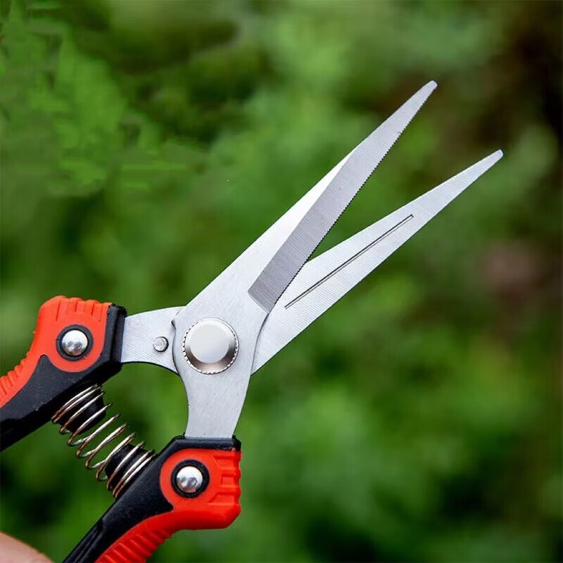 Fengxi powerful and labor-saving fruit-picking scissors, stainless steel serrated gardening pruning shears, fruit and vegetable gardening tools (1 set included)