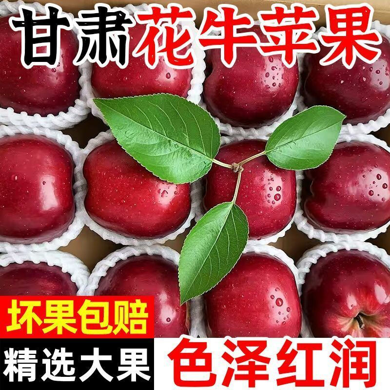 Origin: Gansu Tianshui Huaniu Apple, seasonal fresh fruit, sweet apple powder, 12 pieces in a selected gift box