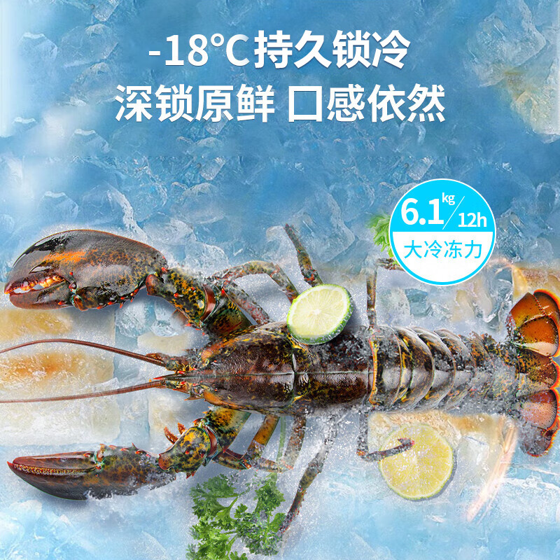 CHIGO single temperature freezer 272 liter household commercial small freezer micro-frost first-level energy efficiency refrigeration-freezing conversion horizontal freezer trade-in BD/BC-272DW