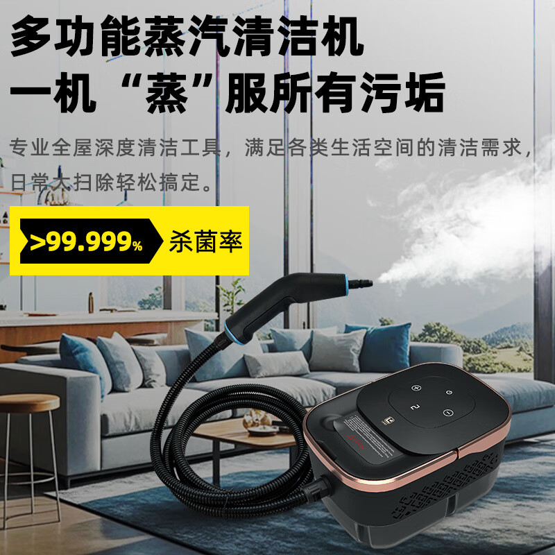 High temperature and high pressure steam cleaning machine multifunctional cleaning machine household small 1250ML water tank steam cleaning machine power 2500W+ steam disinfection rose gold 220V European regulations