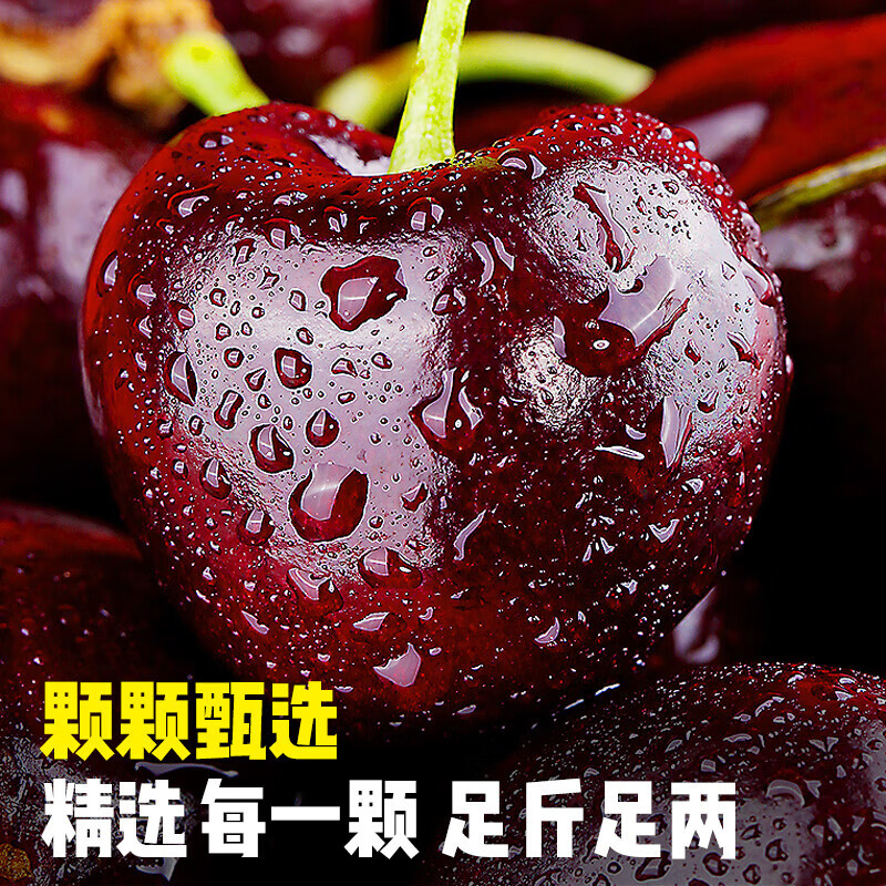 Songxiao Chilean cherries JD SF - next-day delivery to many places 5kg 4J grade imported cherry fruit gift box for gift giving 5kg (net weight) Big Mac 4J grade 32-34mm