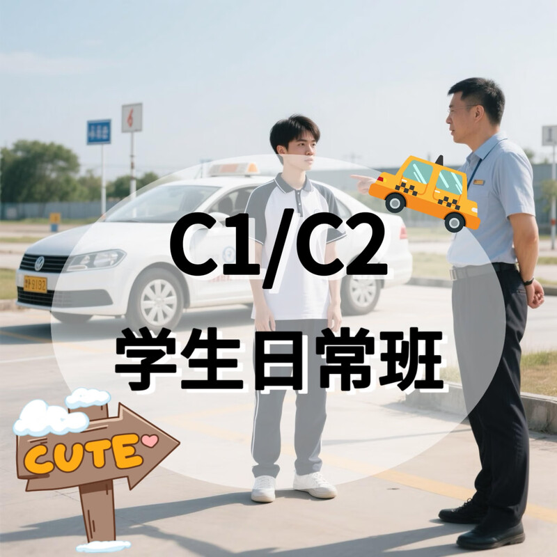 Driving school services daily classes for summer driving students C1/C2