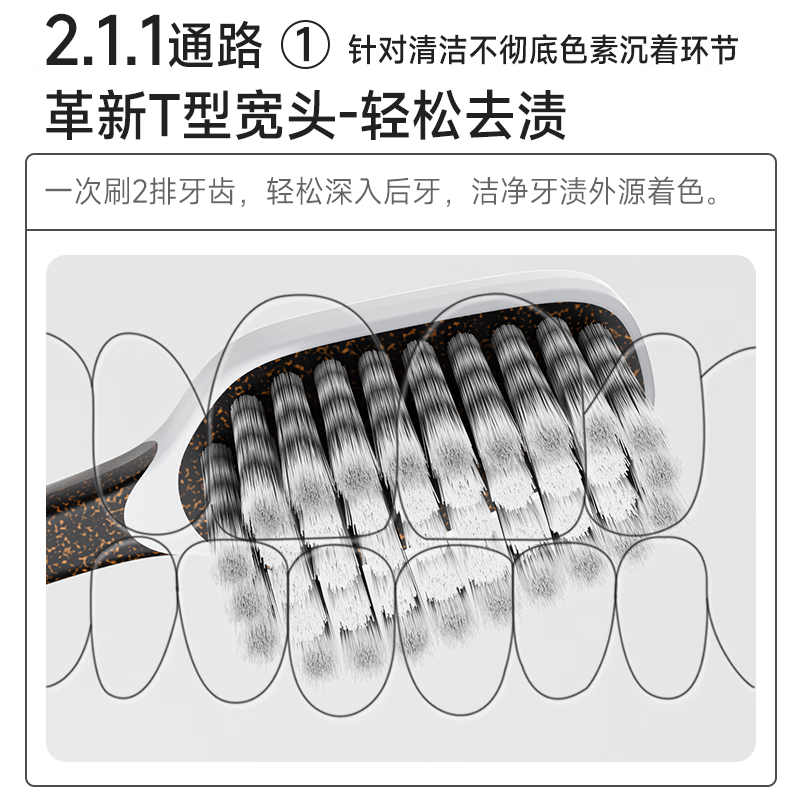 Yang Elf stain removal toothbrush for men imported from Germany to remove tobacco stains and tartar with medium hard and soft bristles, clean-resistant, high-end adult 2 pieces