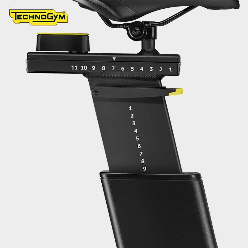 Technogym Italian original imported spinning GROUP CYCLE high-end home gym bike without console