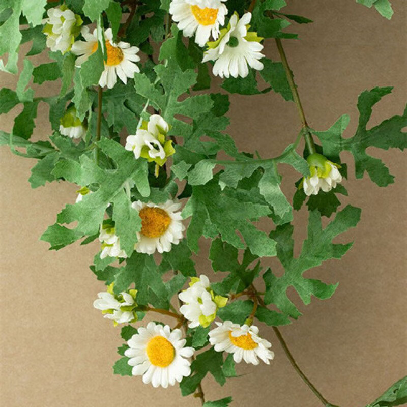 Shiniao ins style small daisy wall hanging artificial flower vines and vines wrapped around the wall to block the decoration of green plants and fake flower wall decorations. Daisy wall hanging belt with traceless nails, a complete set