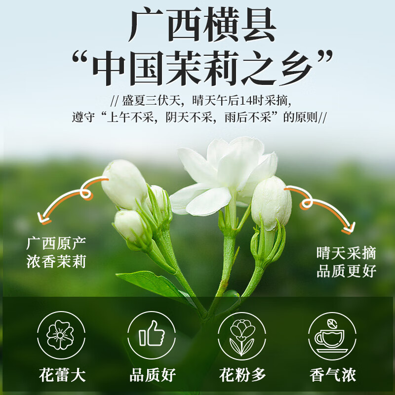 A cup of fragrant tea jasmine tea special 500g 2025 new tea new year gift box jasmine green tea bulk for your own consumption