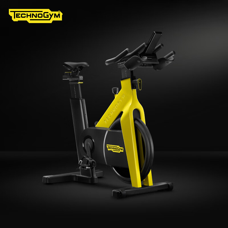 Technogym Italian original imported spinning GROUP CYCLE high-end home gym bike without console