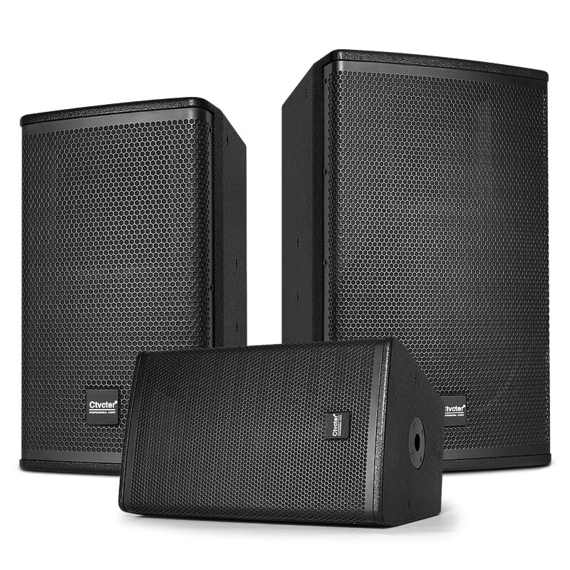 YTFY Voice of Berlin high-quality professional speakers stage performance home karaoke bar private room KTV conference room audio XS10 10-inch 170 magnetic high-end version speaker (single)