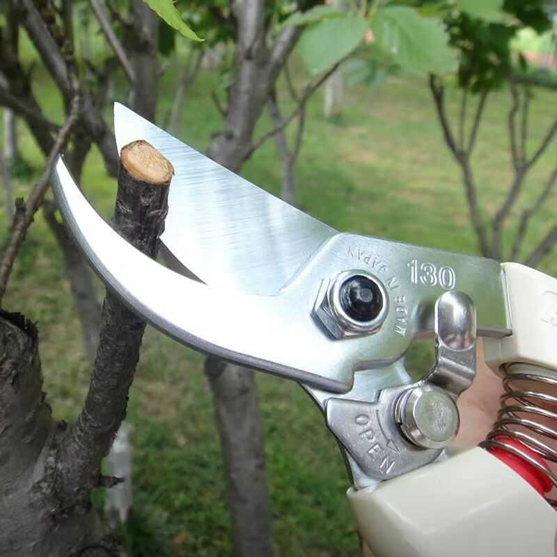 Alice Miyamoto Japan imported steel pruning scissors fruit tree pruning shears flower gardening scissors labor-saving scissors household sharp scissors imported steel pruning shears