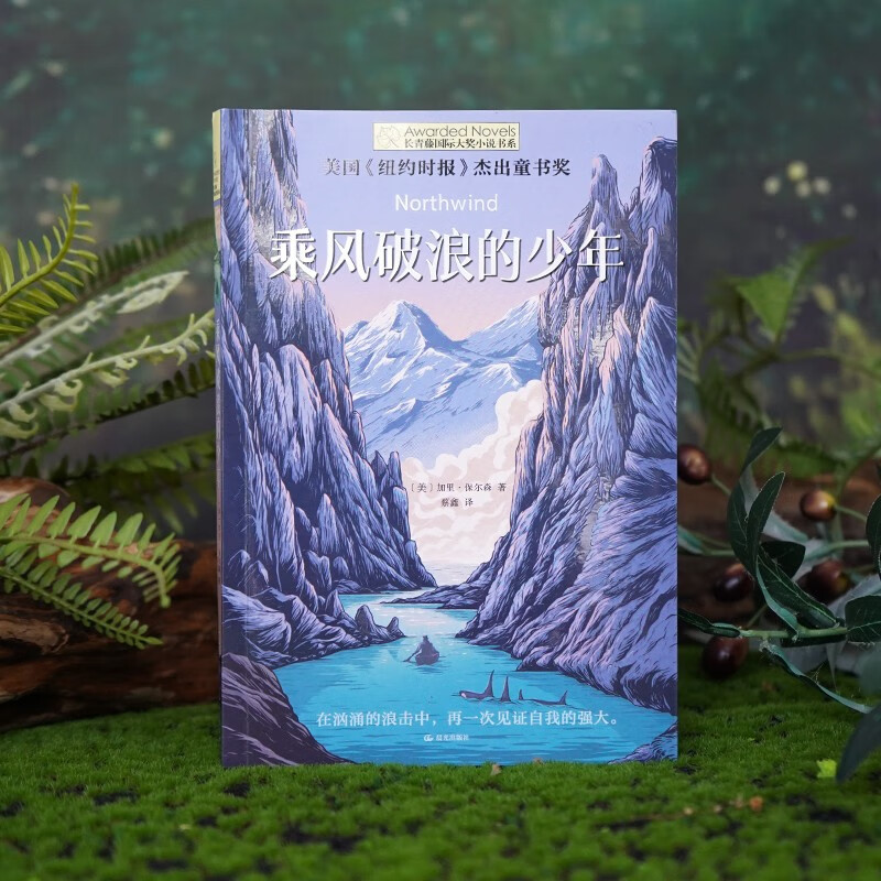 The Ivy International Award for the novel The Young Man Riding the Wind and Waves <New York Times> Outstanding Children's Book Award A must-read for primary and secondary school students in grades 3, 4, 5 and 6 International Children's Literature Award for classic extracurricular reading that affects children's lives