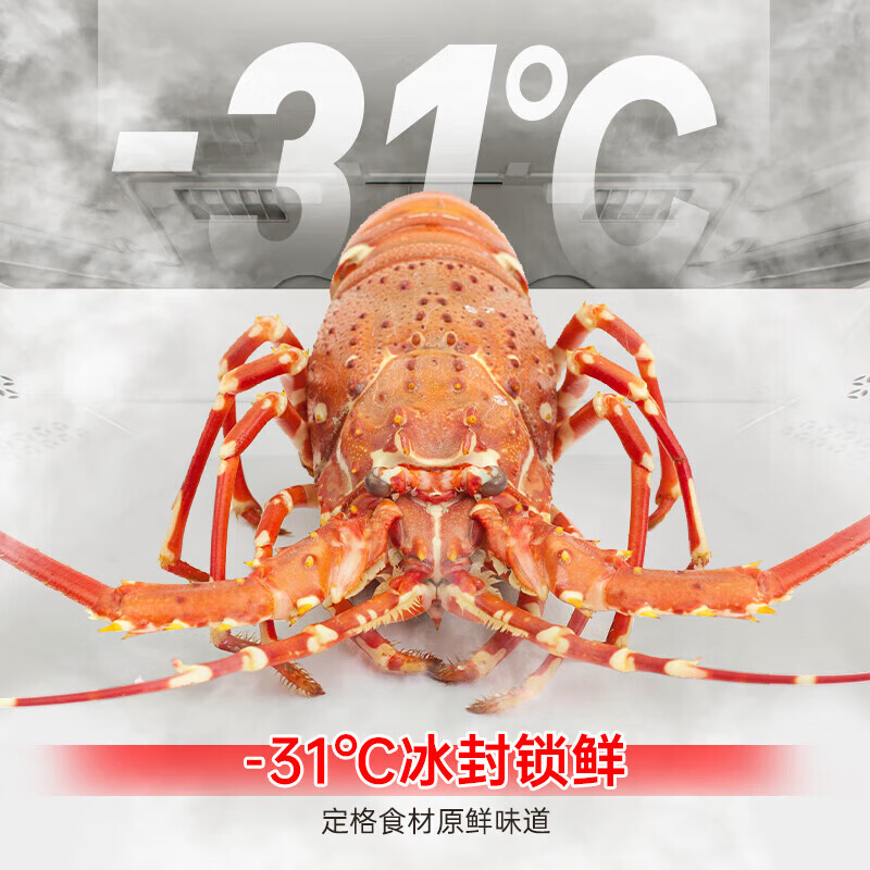 Rongsheng Cube Sugar 515L French-style multi-door refrigerator BCD-515P60FZNAD dual system ultra-thin zero-embedded first-level energy-efficiency automatic ice-making white three-pack machine with slight defects