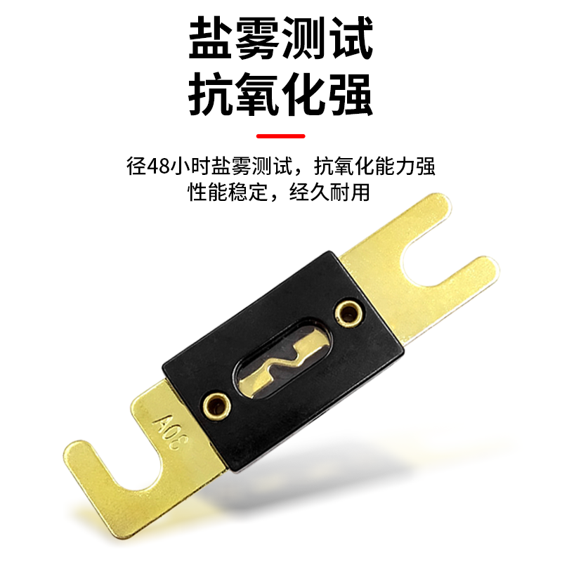 Baye forklift forkbolt car fuse 60A 2-piece pack BY-CS60A